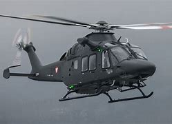 Aw169 Lion